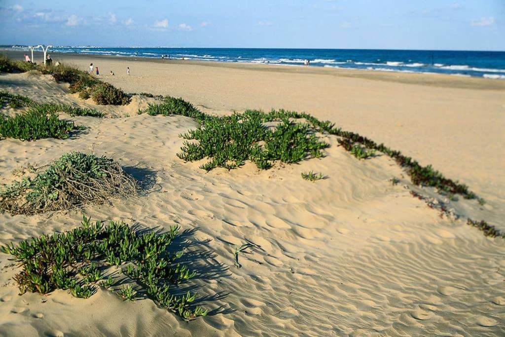 Apartamento En Playa Canet De Berenguer Canet d'En Berenguer Dış mekan fotoğraf